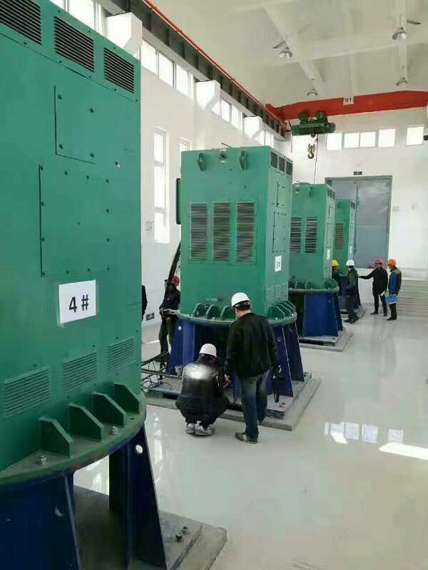 Y4509-6/630KW某污水处理厂使用我厂的立式高压电机安装现场