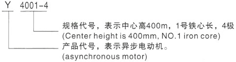 西安泰富西玛Y系列(H355-1000)高压Y4509-6/630KW三相异步电机型号说明