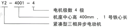 YR系列(H355-1000)高压Y4509-6/630KW三相异步电机西安西玛电机型号说明